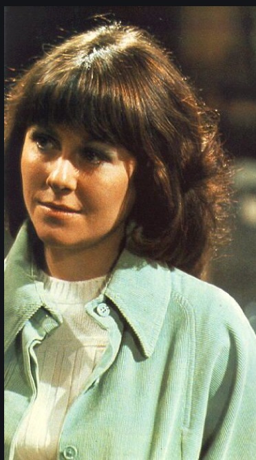 dr doctor who hot companion sarah jane smith